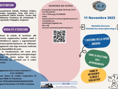 ” I Disturbi della Sfera Ansiosa COME SI RIFLETTONO  SULL’ APPRENDIMENTO PIANO DI INTERVENTO  CLINICO E SCOLASTICO”