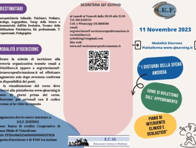 ” I Disturbi della Sfera Ansiosa COME SI RIFLETTONO  SULL’ APPRENDIMENTO PIANO DI INTERVENTO  CLINICO E SCOLASTICO”